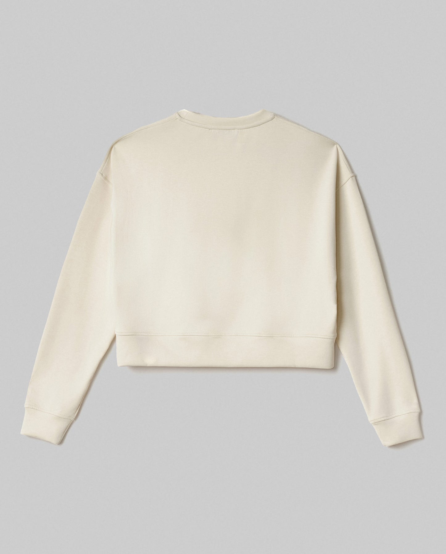 Roundneck sweatshirt w